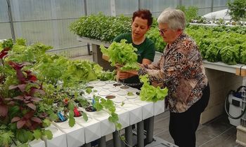 La Serre de la Dignité