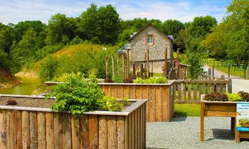Technicien Supérieur en Aquaponie
