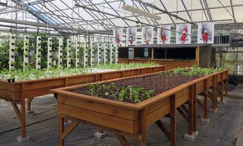 Les Serres du Château