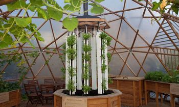 Biodôme – Bliiida