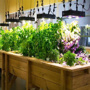 Photo de notre système Garde-manger