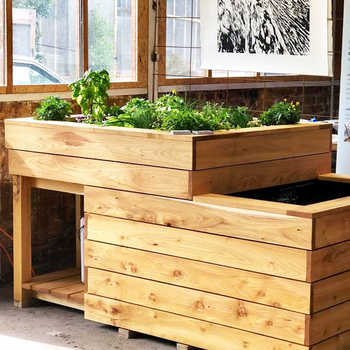 Photo de notre système Primeur